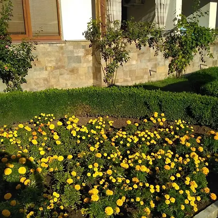 Veronika Apartament *